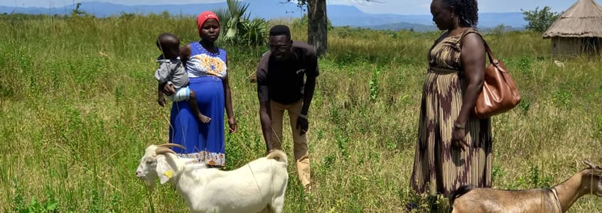 Sustainable Livelihoods Sustainable Livelihoods