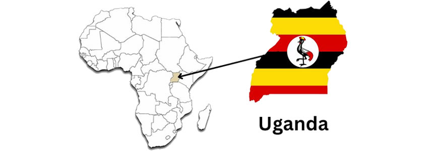 Where We Work Where We Work