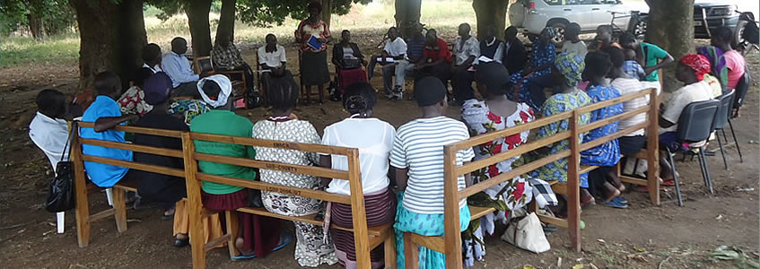 National Development Forum 2010