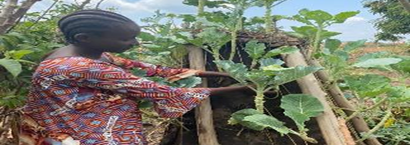 Beatrice Shukuru – A mother re-writes her future from Agriculture innovations. 