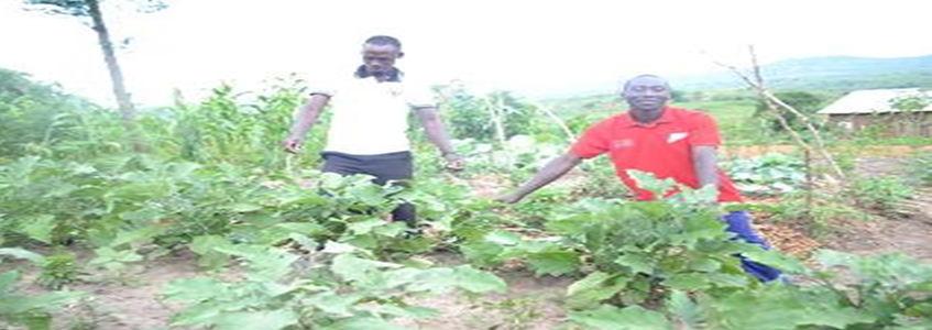 Masereka Leo: From Struggle to Self-Reliance Through Agriculture