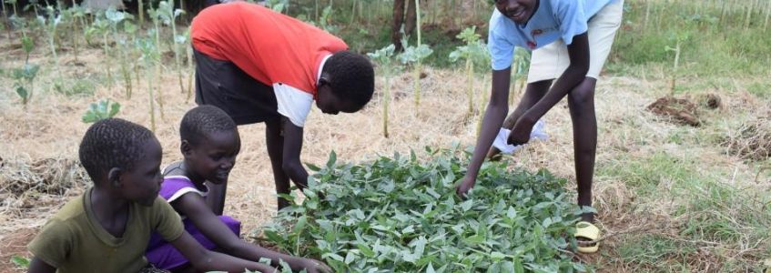 Promotion of rights to sustainable Livelihoods