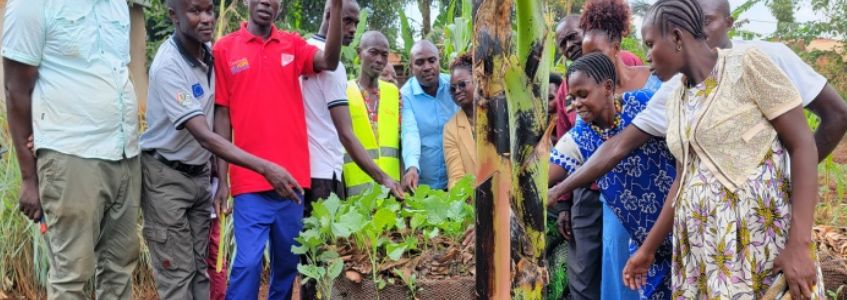 Humanitarian Aid and Development 